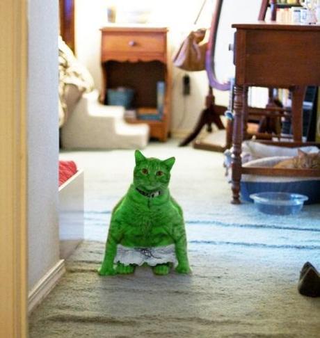 The World’s Top 10 Best Superhero Cats