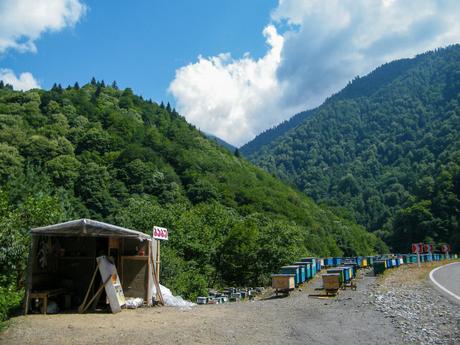 Bee hives alongside the edge of a mountain road with lush green hills in the background and a simple structure on the left hand side.