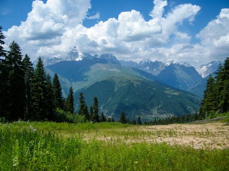 Lush greenery fills the foreground, with towering fir trees framing the view of distant, jagged peaks, their sharpness softened slightly by the summer haze.