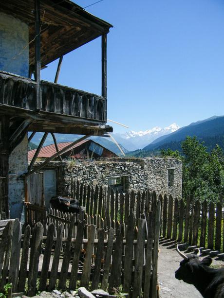 A wooden balcony of a traditional house with a cow below in a fenced area. Snowy mountain peaks are visible in the distance beyond the stone buildings and wooden fences.