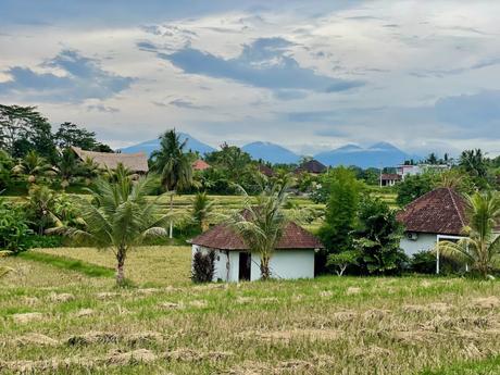 Traditional huts with red-tiled roofs nestled in rice fields with distant mountains under a cloudy sky.