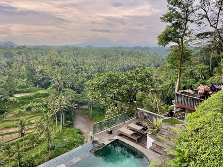 A scenic restaurant terrace with a pool overlooking lush green rice terraces and palm trees, with mountains faintly visible in the background.