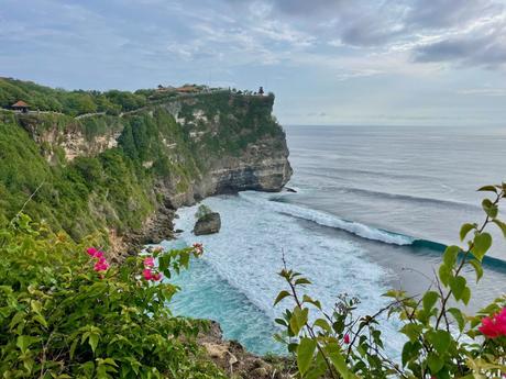 A dramatic cliffside view with waves crashing against the rocks, framed by green plants and pink flowers in the foreground.