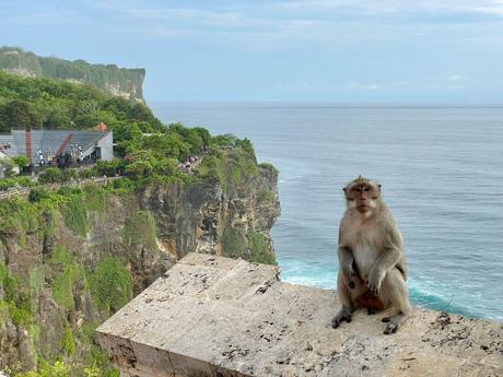 A macaque sitting on a stone wall with a dramatic view of Uluwatu Temple in Bali, perched on a cliff with the ocean waves crashing below.