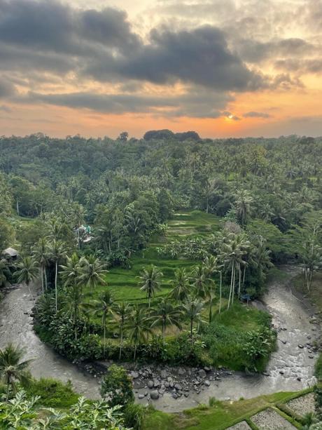 An aerial view of a lush green valley in Sayan, Ubud, bordered by a winding river, with the sun setting behind dense palm forests and casting a soft golden glow over the scene.