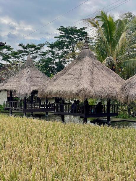 Two thatched-roof pavilions on stilts, standing over water, with a rice field and tropical trees in the background.