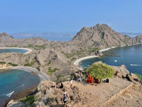 Hikers resting under a tree on the summit of Padar Island, with stunning views of the island’s multiple beaches and bays below.