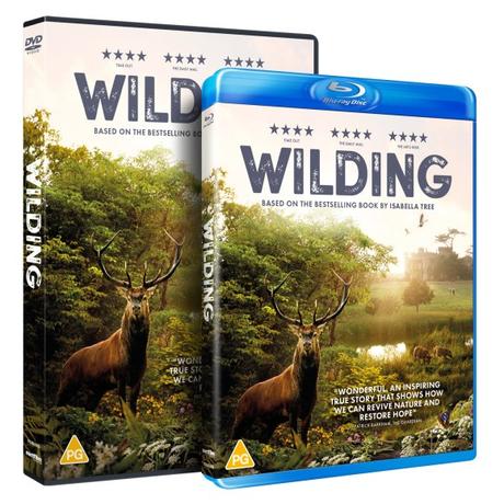 Wilding – Release News