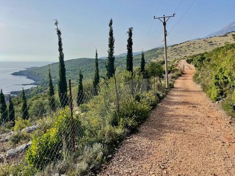 A dirt road lined with tall, slim cypress trees leads to the coast, offering views of rolling green hills and the distant blue sea under a clear sky.