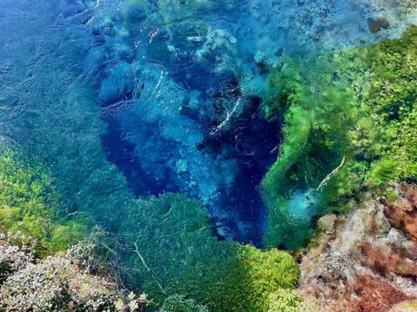 A mesmerizing view of an underwater spring, showcasing vivid green and blue colors with aquatic plants. The crystal-clear water highlights the intricate patterns beneath the surface.