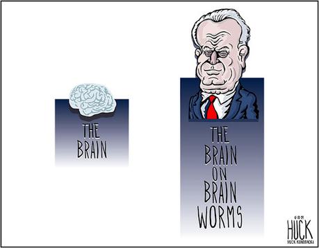 The Brain