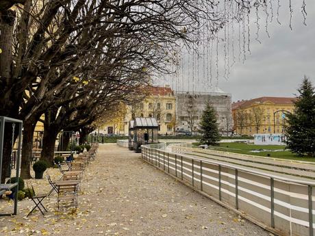 A park pathway lined with bare trees, scattered leaves on the ground, and a few Christmas trees and lights decorating the space. The overcast sky adds a peaceful, subdued atmosphere.