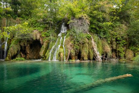 A vibrant waterfall cascades down a moss-covered rock face, framed by lush green vegetation. The clear, turquoise water at the base of the falls reflects the greenery, creating a tranquil scene.