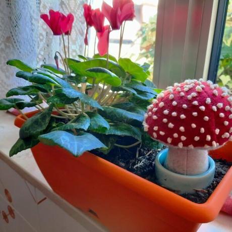 Mushroom plush to decorate a flower pot