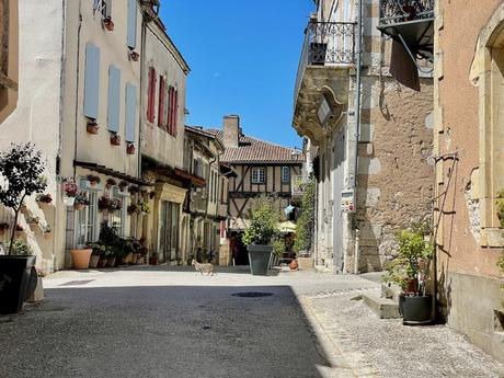 A quiet street in a French village with charming, weathered buildings, flower pots on windowsills, and a single cat walking across the road on a sunny day.