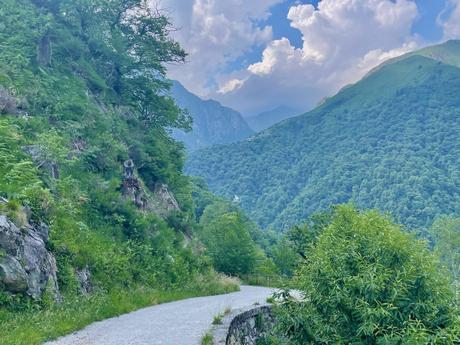 A winding mountain road in a lush green landscape in Italy, with trees and bushes lining the path and distant peaks visible under a partly cloudy sky.