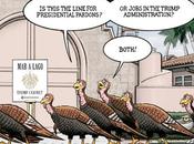 Turkeys Line