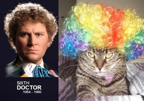 Colin Baker - Doctor Who and Cat Doctor