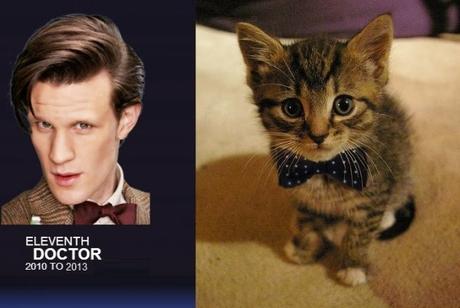 Matt Smith - Doctor Who and Cat Doctor