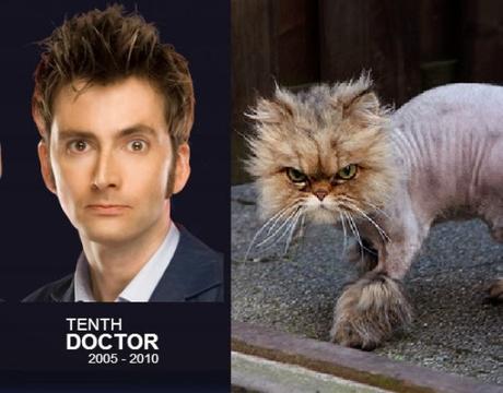 David Tennant - Doctor Who and Cat Doctor