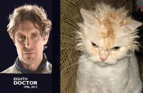 Paul McGann - Doctor Who and Cat Doctor