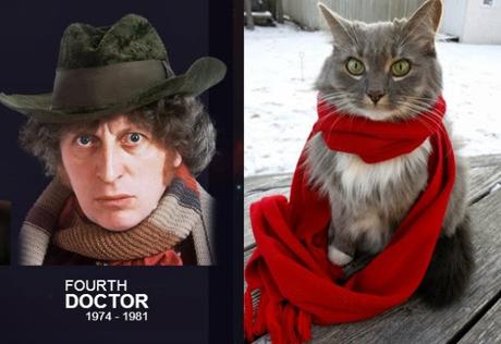 Tom Baker - Doctor Who and Cat Doctor