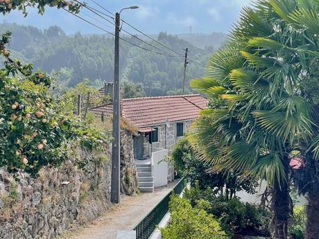 A charming hillside village in northern Portugal with a small house nestled among trees and vegetation. The red-tiled roof contrasts with the surrounding greenery, while apple trees in the foreground are laden with fruit.