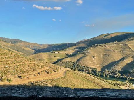 A sweeping landscape of terraced vineyards climbing the slopes of a valley, with the afternoon sun casting long shadows. The distant hills and clear sky add to the sense of peaceful isolation.