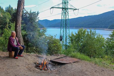 A woman in a purple jacket sits on a tree stump by a campfire, with a serene lake and surrounding forest in the background. A tall green electrical tower looms nearby.