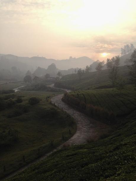 A misty sunrise over lush tea plantations in Munnar, Kerala, with a winding path cutting through the green hills.