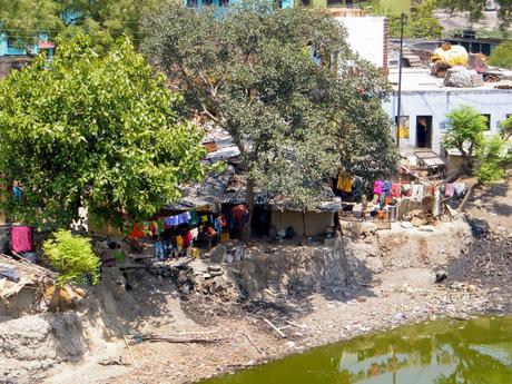 A riverside scene with a large tree providing shade to small houses, colorful laundry hanging on lines, and the murky river in the foreground.