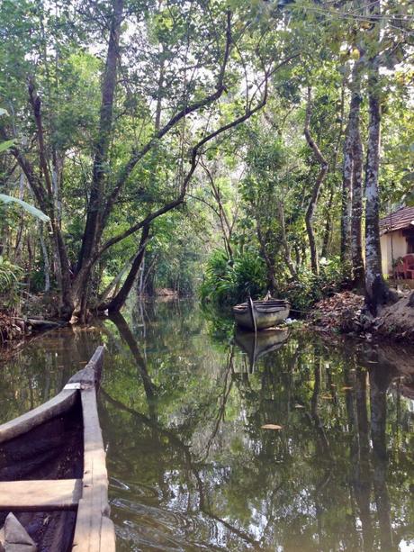 A serene view of narrow waterways in the Kerala backwaters, with a wooden canoe in the foreground and thick forested banks reflected in the calm water.