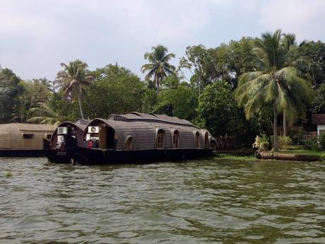 Image of traditional houseboats parked along the shore in the Kerala backwaters, surrounded by lush green palm trees and vegetation.