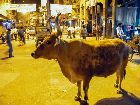 A cow standing in the middle of a busy street at night, with rickshaws and pedestrians in the background.