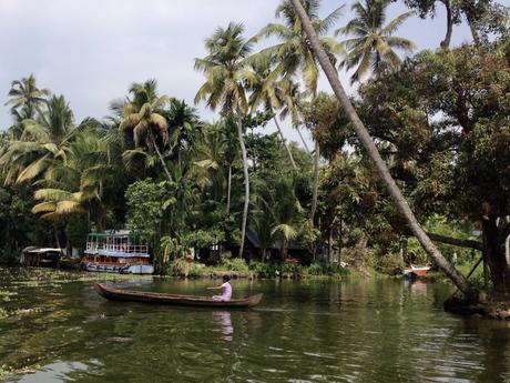 A man paddling a small wooden boat through the Kerala backwaters, with large leaning palm trees and dense foliage lining the shore.