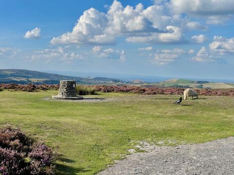 A sheep grazes beside a stone marker on a hilltop, with sweeping views of the countryside and heather-covered hills in the background. The sky is clear, with a few fluffy clouds.