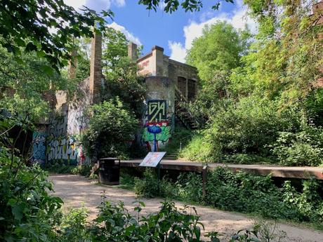 A mix of urban decay and greenery, with graffiti-covered ruins surrounded by dense trees. The scene blends art and nature in a secluded park setting.