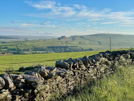 A classic dry stone wall runs through a green field, with rolling hills and a bright blue sky in the background. Wildflowers grow alongside the wall, adding a touch of color to the scene.