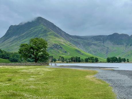 A serene lake at Buttermere in the English Lake District sits at the base of towering green mountains, partially shrouded in low-hanging clouds. A lone tree stands near the water’s edge, adding to the peaceful ambiance.