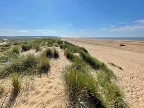 Windblown grasses cover sandy dunes that lead toward a vast, empty beach stretching far into the horizon in Norfolk. The sky is clear, with sunlight glinting off the sand.