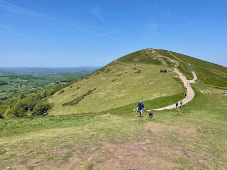 A scenic hiking trail in the Malvern Hills winding up a grassy hill under a clear blue sky. People walk with their dogs along the path, enjoying the sunny day.