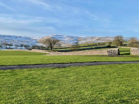 A field of vibrant green grass, with dry stone walls weaving across the landscape. The snowy hills in the background add contrast to the warm green foreground.