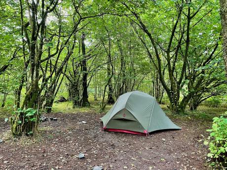 A small green tent pitched in a forest clearing, surrounded by tall, leafy trees, with patches of sunlight filtering through the dense canopy.