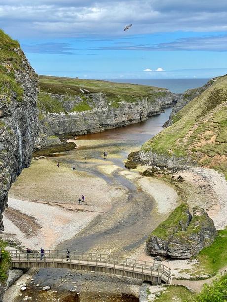 A river winding through steep cliffs leading to the sea, with people walking along the sandy riverbanks and a bird soaring overhead.