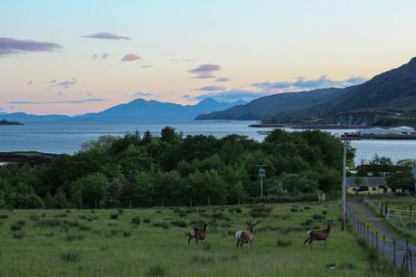 Three deer grazing on a grassy field at sunset, with a view of a coastal bay and distant mountain ranges, as the sky turns soft shades of pink and blue.