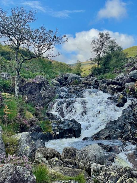 A small, rocky waterfall cascades down a hillside, surrounded by lush greenery and a couple of bare trees, set against a bright blue sky with scattered clouds.