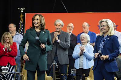 Kamala Harris' campaign team is preparing a fund to support a recount in 2024 race, as Spoonamore & Co. unearth more strange data that points to hacking