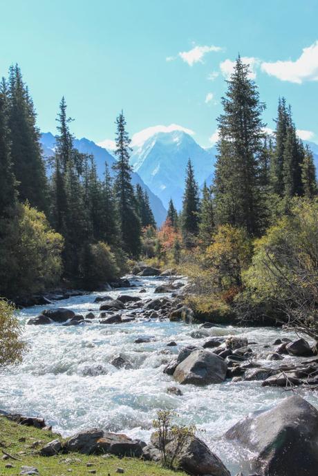 A river with large rocks runs through a forest, with tall evergreens on both sides and a snow-covered mountain peak visible in the distance.