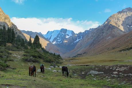 Three horses graze in a scenic mountain valley with snow-capped peaks in the background, as the sun casts light across the landscape.