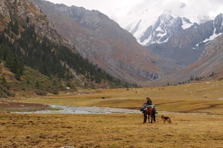 A lone rider on a brown horse, accompanied by a dog, against a backdrop of rugged mountains and alpine meadows, with snow-capped peaks in the distance.